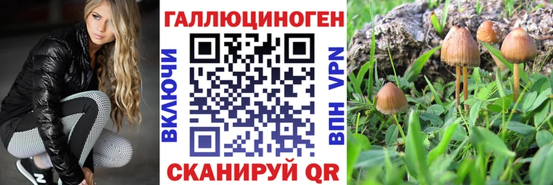 мориарти телеграм  Лангепас  Галлюциногенные грибы GOLDEN TEACHER 
