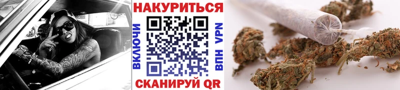 где купить наркотик  Лангепас  Бошки Шишки сатива 